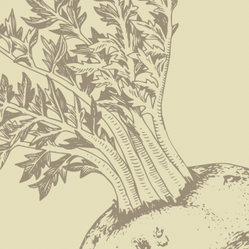 Boost NSP modelo NSP 1121 | Nº da imagem 1