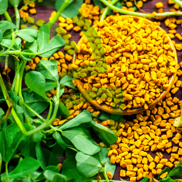 Fenugreek & Thyme NSP modelo NSP 885 | Nº da imagem 1