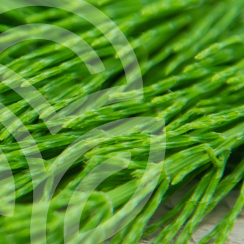 HSN-W NSP modelo NSP 935 | Nº da imagem 1