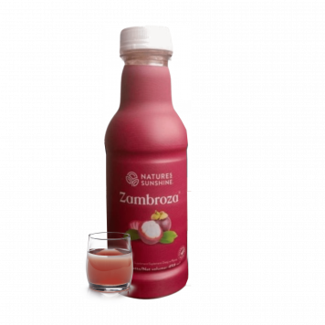 Zambroza NSP modelo NSP 4104 | Nº da imagem 1