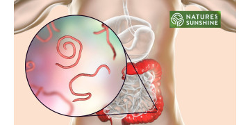 Como vencer os parasitas e a candidíase de forma segura e natural: o programa NSP