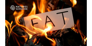 Porque é que o corpo precisa de gordura? O papel do tecido adiposo na defesa toxicológica