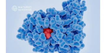 Uma abordagem nutricional à recuperação do cancro: como apoiar o corpo com NSP Uma abordagem nutricional à recuperação do cancro: como apoiar o corpo com NSP