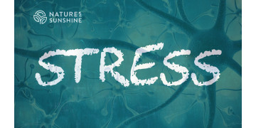 O stress e o sistema nervoso: como ajudar o corpo a adaptar-se e a recuperar O stress e o sistema nervoso: como ajudar o corpo a adaptar-se e a recuperar