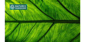 Produtos inteligentes para varizes: a experiência da NSP