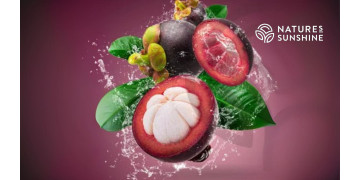 Escudo roxo: como o Zambroza melhora a saúde vascular e retarda o envelhecimento Escudo roxo: como o Zambroza melhora a saúde vascular e retarda o envelhecimento